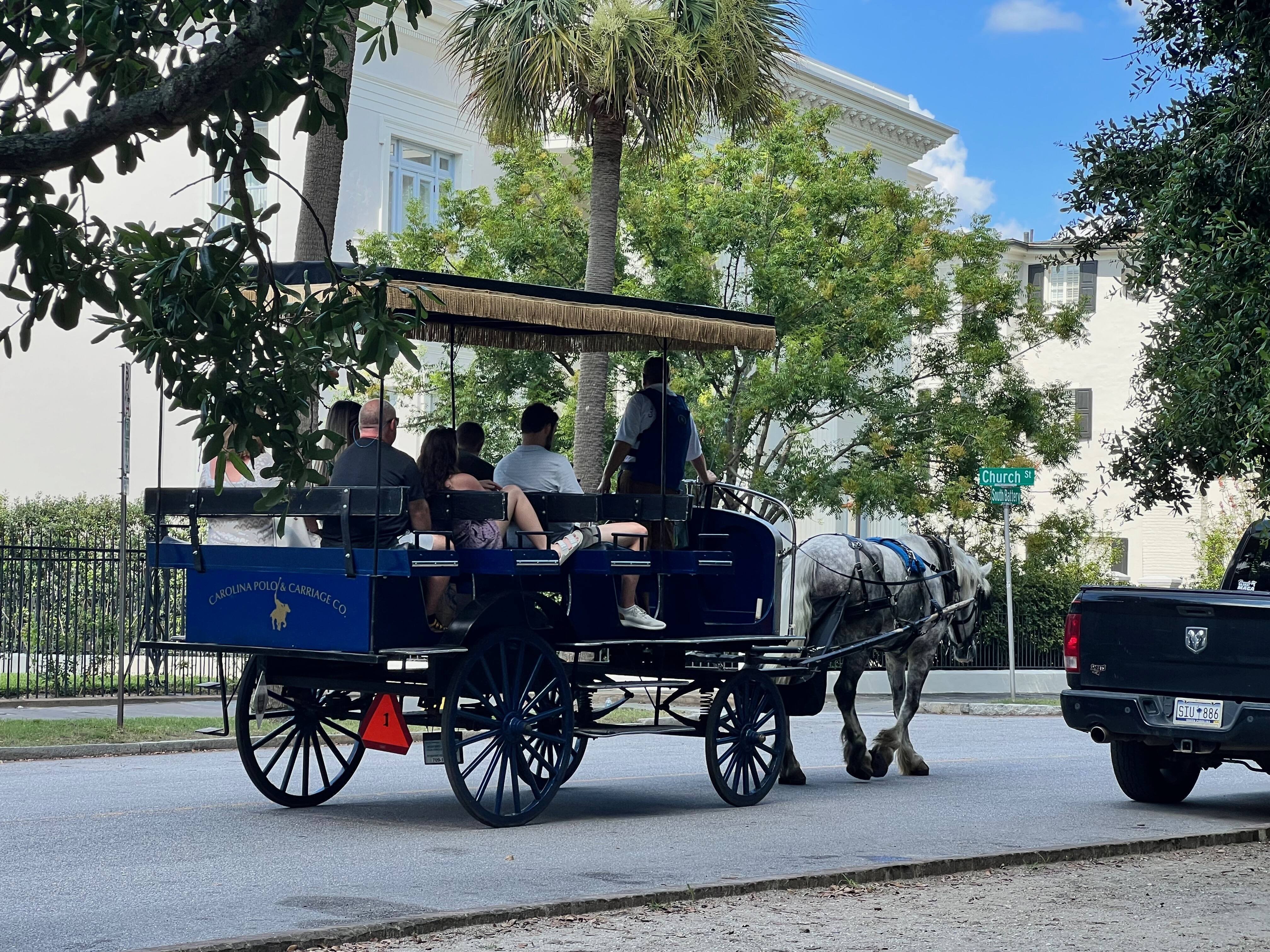 Carriage, South of Broad