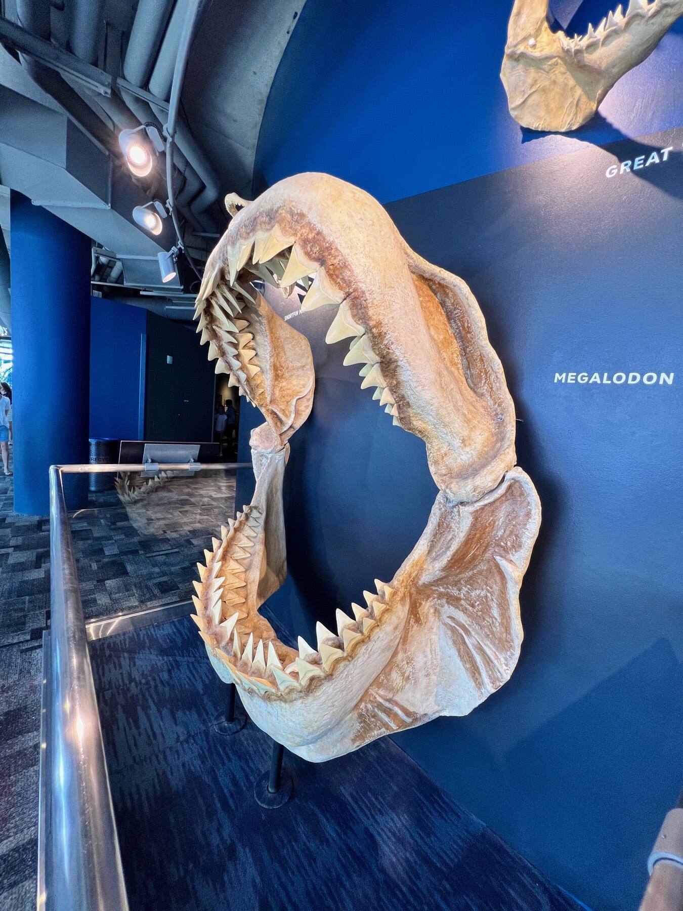 South Carolina Aquarium