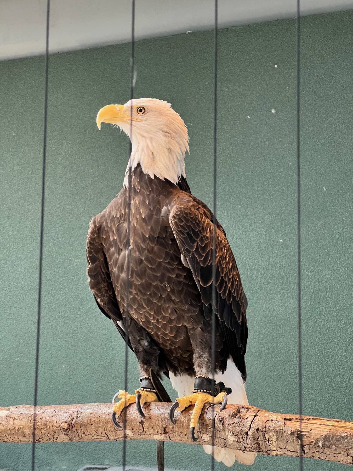 Liberty Aquarium