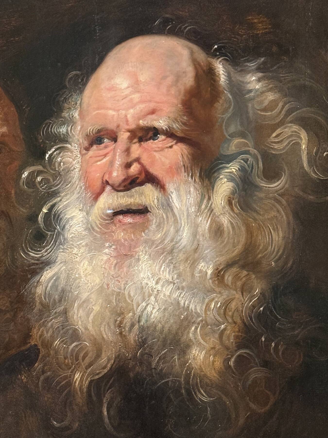 Study of Heads of an Old Man, Sir Peter Paul Rubens, Dayton Art Institute