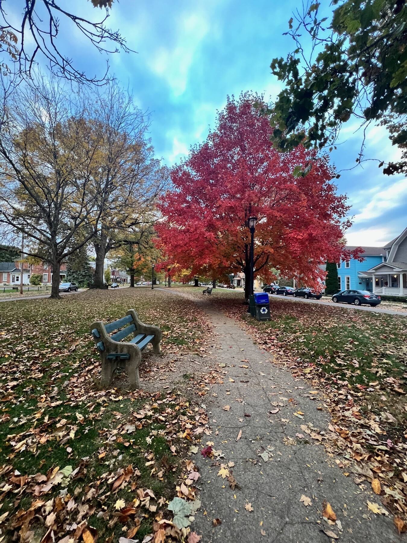 Park Drive, South Park