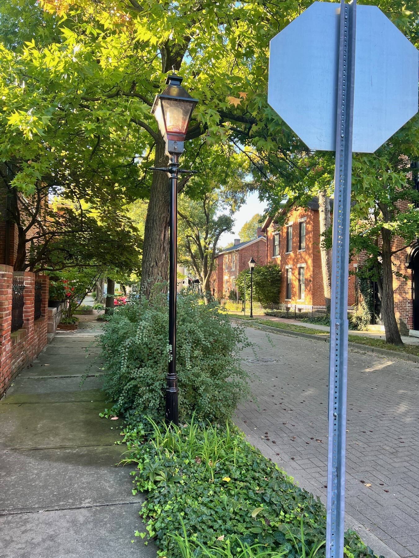 Tecumseth Street, Oregon District