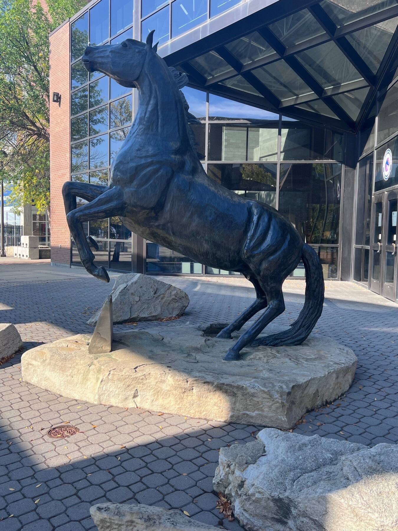Albertsons Stadium, Boise State University, Boise, Idaho