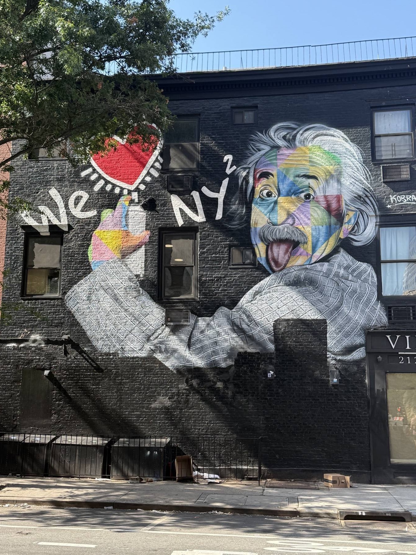 Albert Einstein We Love NY, W 21st, New York, New York
