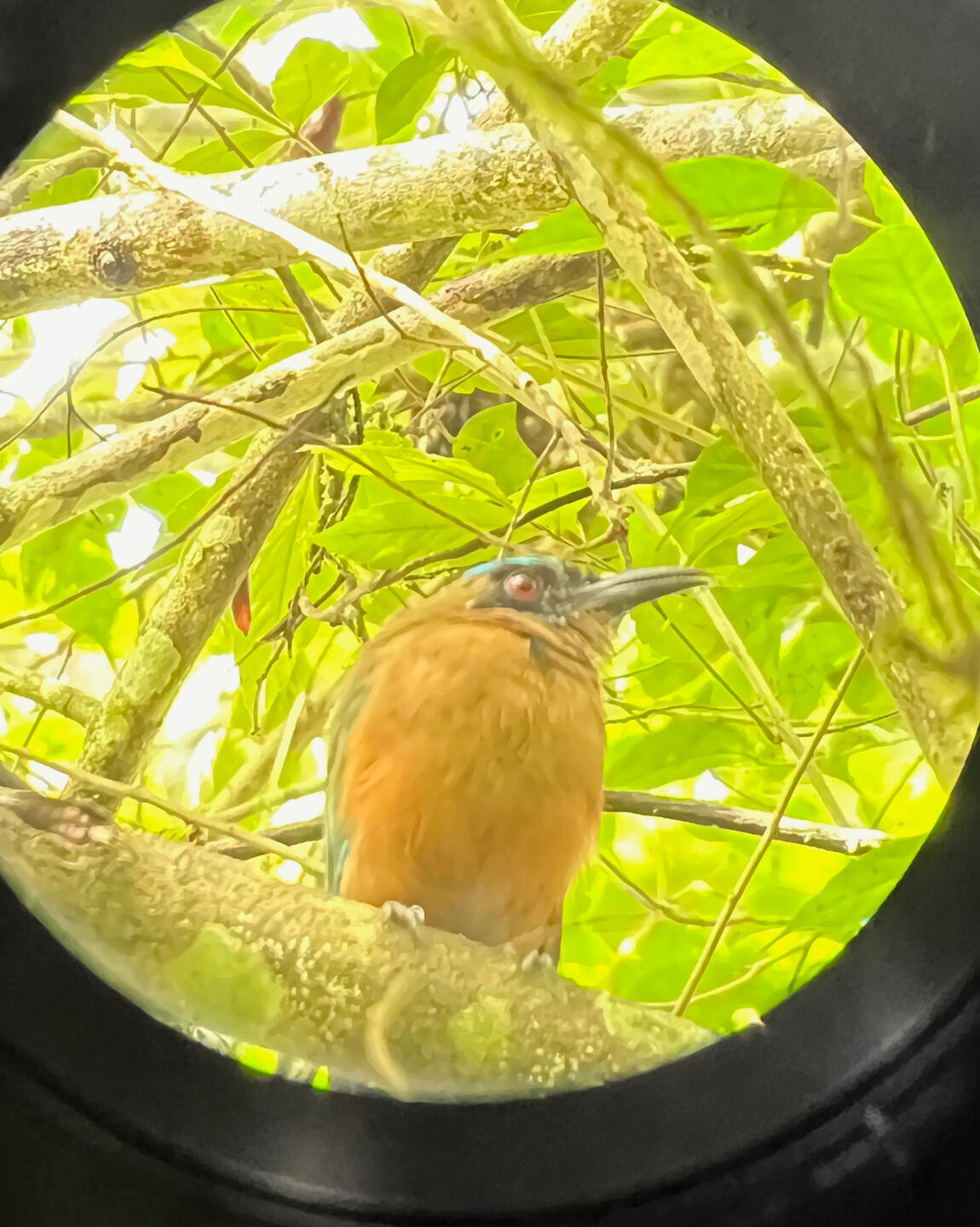 Through a telescope, Gamboa