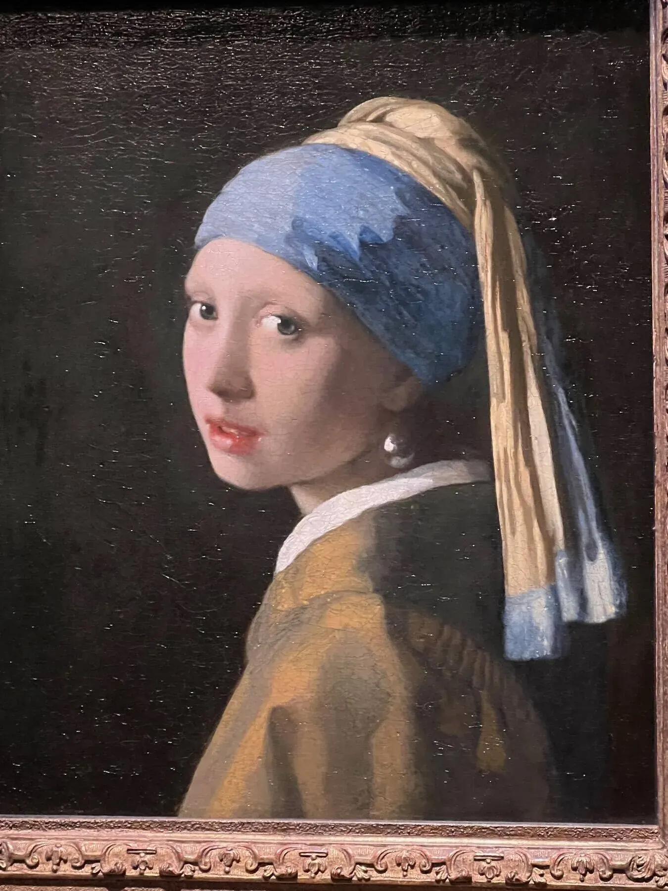 Girl with the Pearl Earring