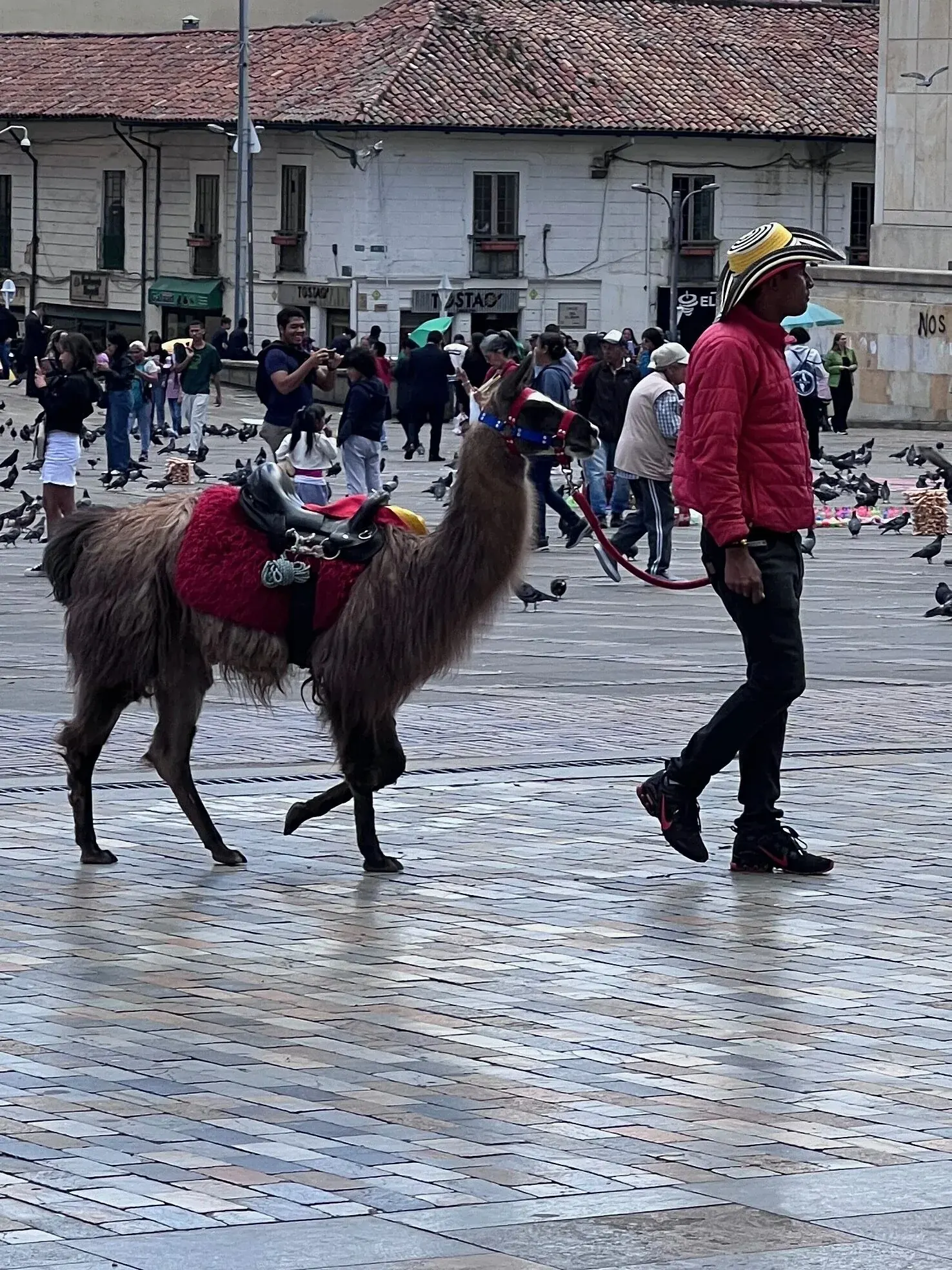 Bogotá