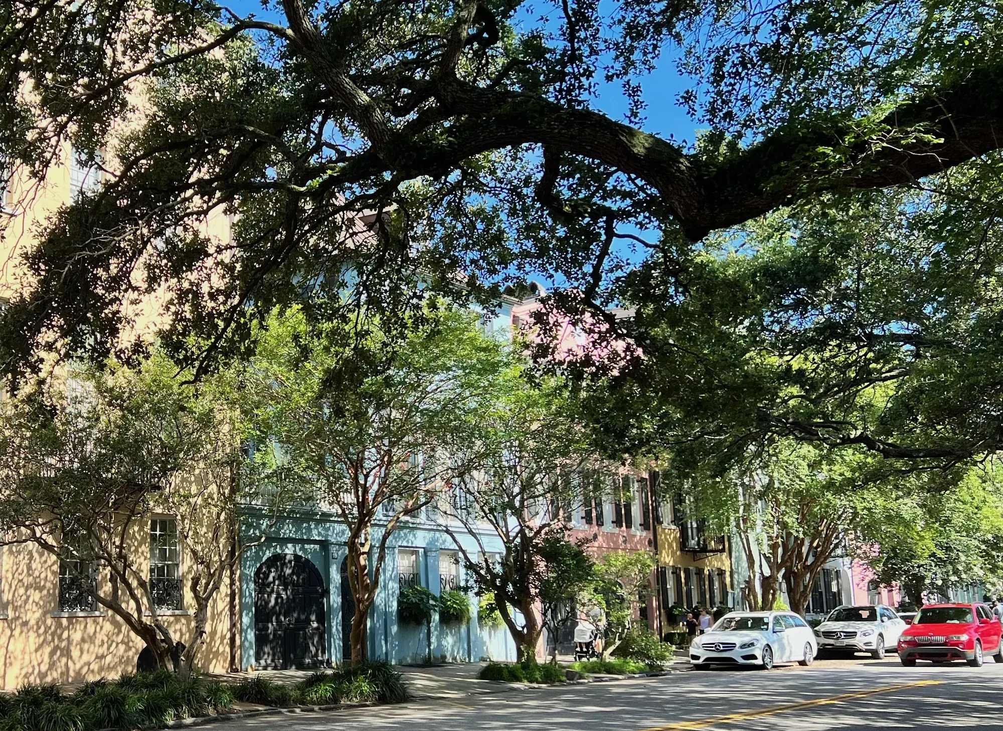 A tree-shaded Charleston street lined with historic pastel houses
