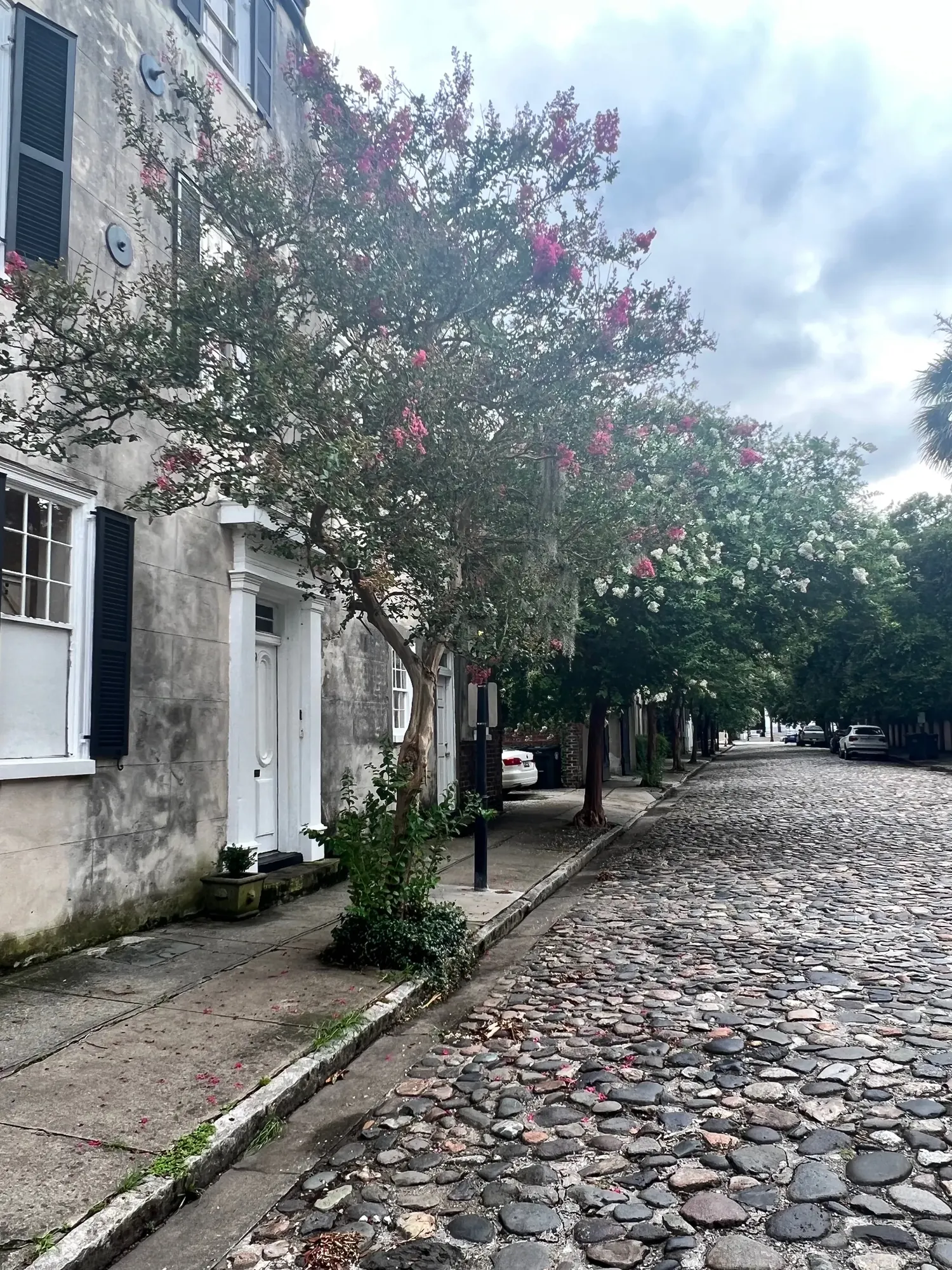 A brick street lined with historic houses flying American flags, Charleston