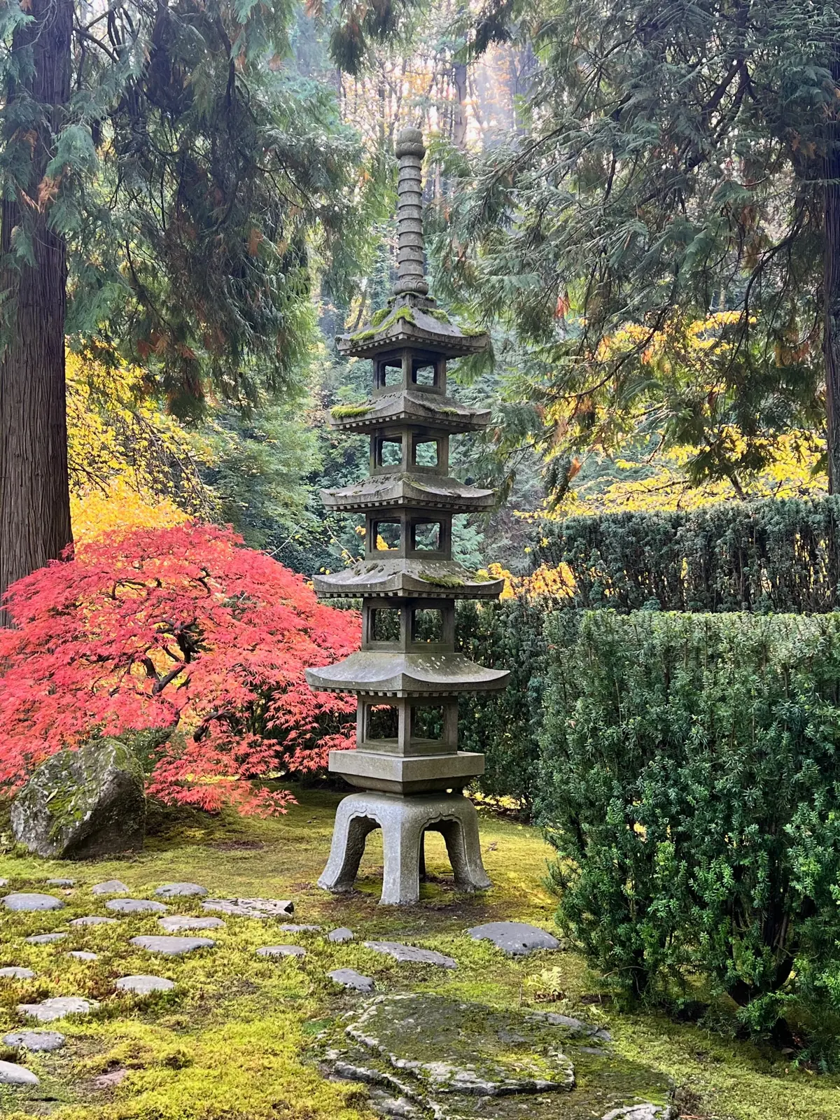 A moss-covered stone pagoda of five tiers beside a red Japanese maple, with yellow foliage and tall evergreens behind it