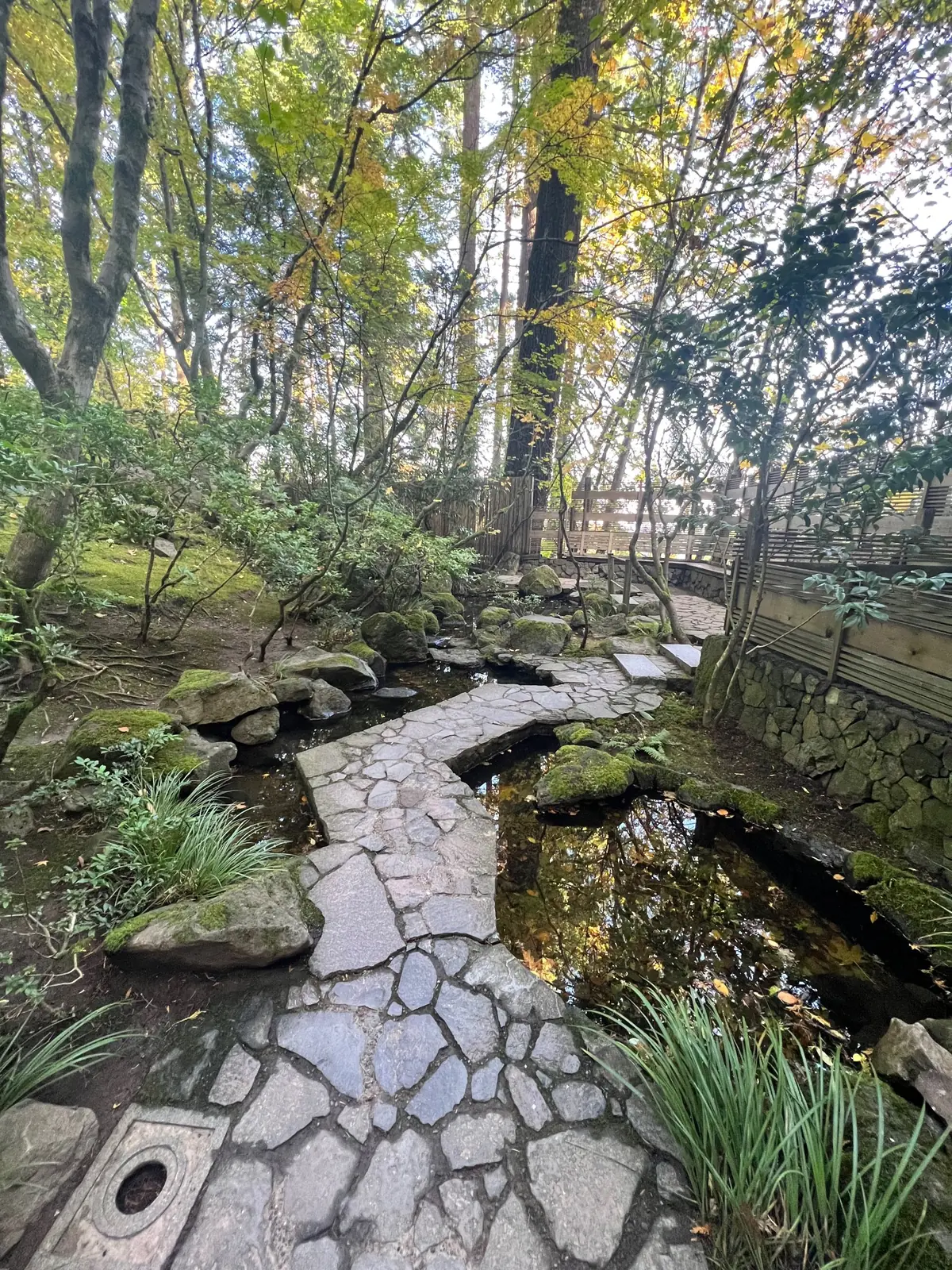 An irregular flagstone path crossing a still, dark stream beneath maples and evergreens, with moss-covered boulders at the water’s edge