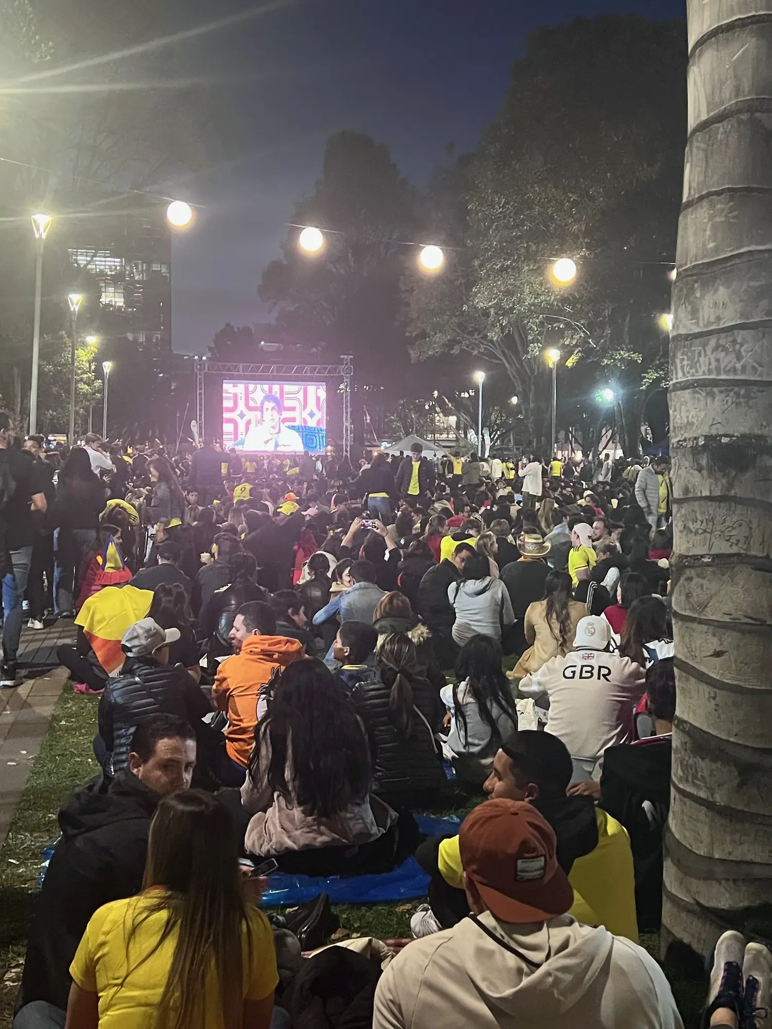 A large crowd at dusk watching the Copa America final on a public screen in Bogota