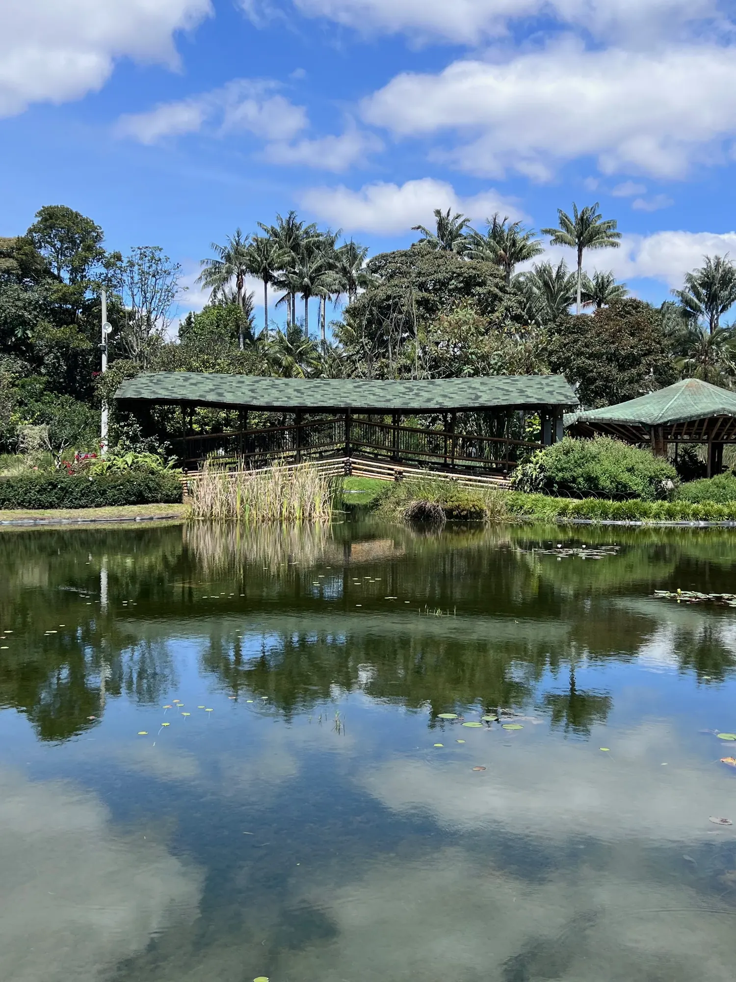 A garden pavilion and palm trees reflected in a pond at the Bogota Botanical Garden