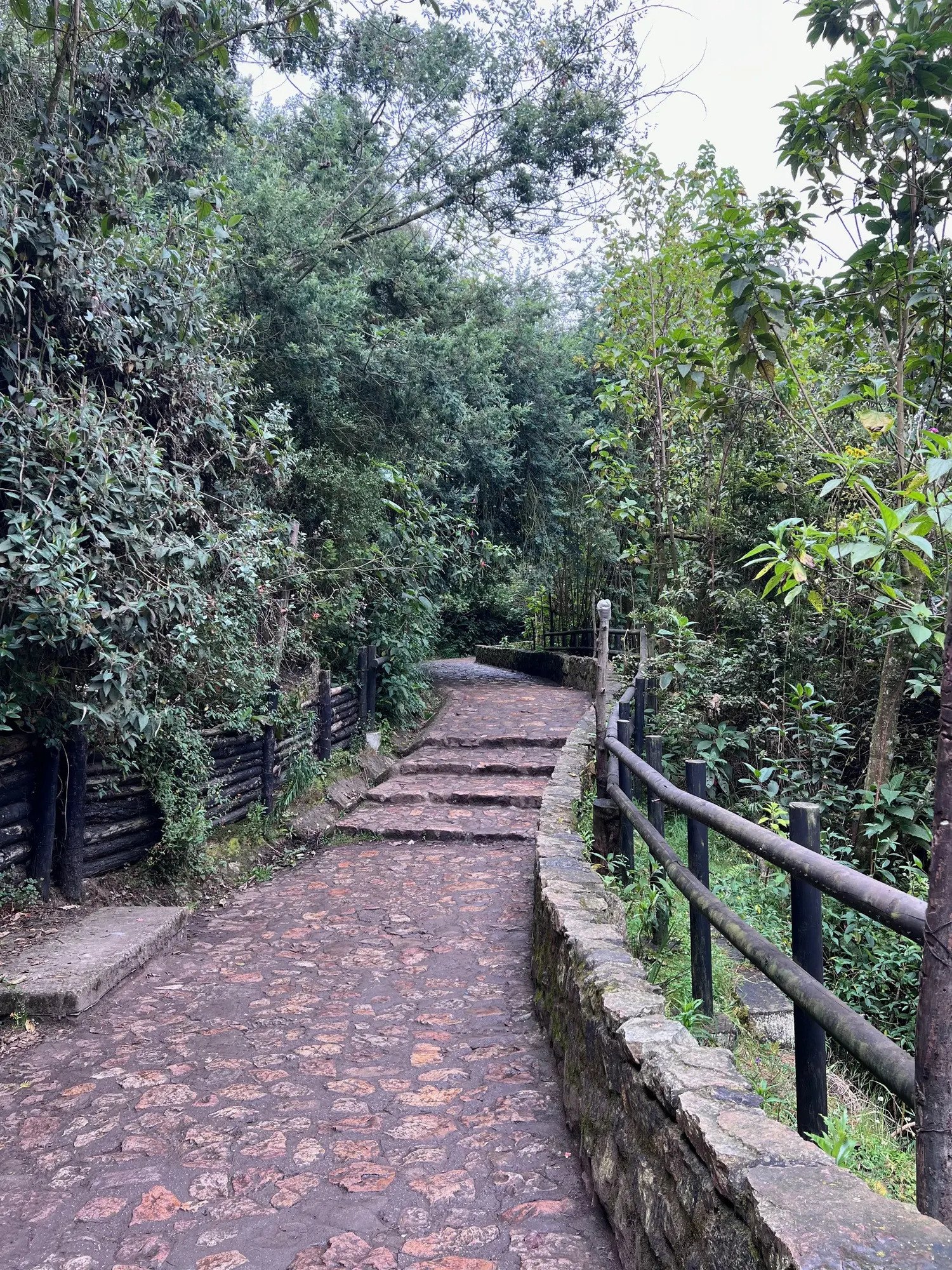 Stone pedestrian path ascending toward Monserrate